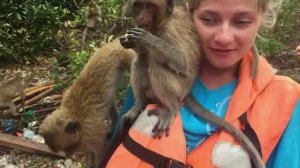 Остров обезьян / Самое красивое место в  Тайланде