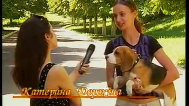 "Кто в доме хозяин" Бигли смотреть онлайн