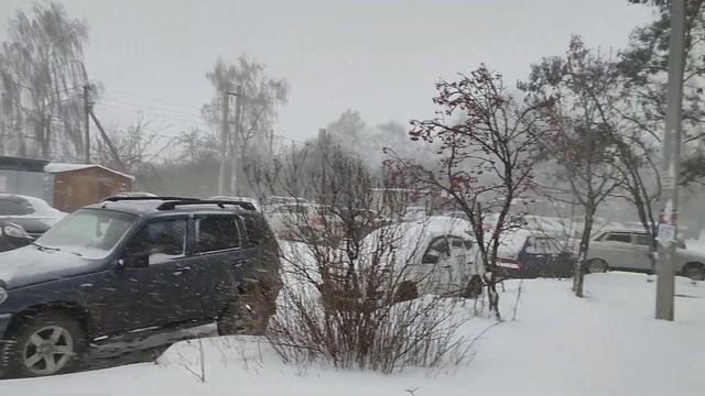 Погода в Рязани смотреть онлайн