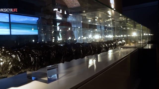 ¿Dónde están los TESOROS de las NAVES HUNDIDAS en las costas de República Dominicana? ? смотреть онлайн