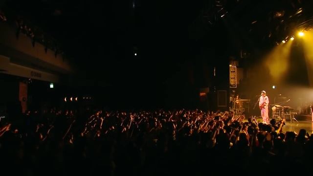 Black rover - live смотреть онлайн