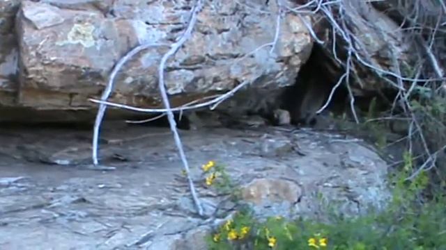 многотонный мегалит на подставках в Гайском районе смотреть онлайн