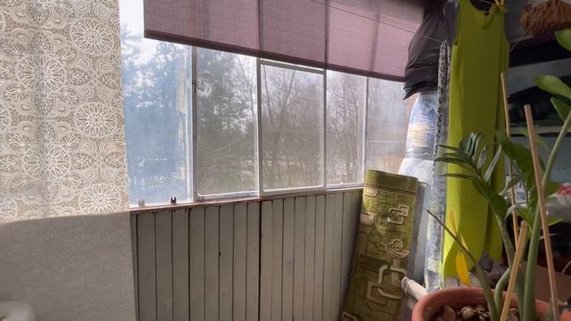Продажа квартиры в Троицке, 12,5 млн, тел. 8(926) 235-52-12 Юлия. смотреть онлайн