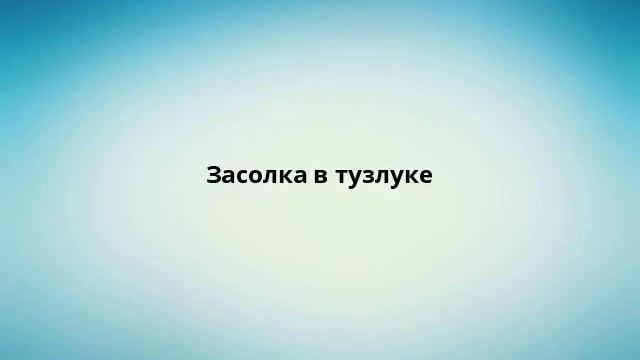 Секреты Творческой Профессиональности