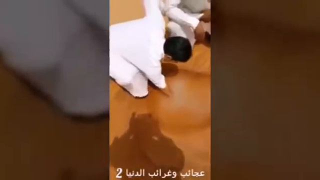 Проснись о брат смотреть онлайн