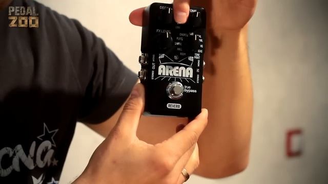 TC Electronic Arena Reverb - Обзор от SancheZ - Pedalzoo смотреть онлайн