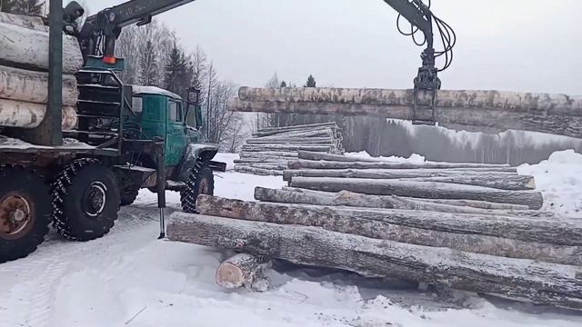 Лесовоз,разгрузка березы смотреть онлайн