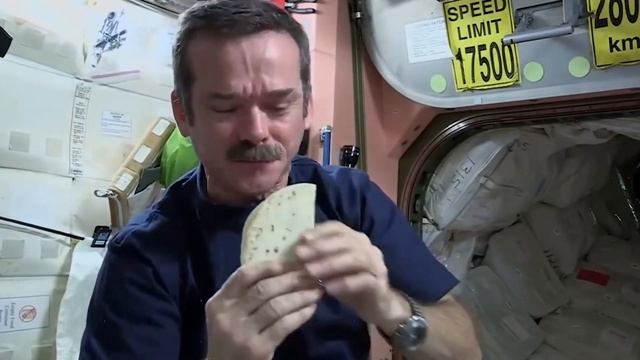 ЖИЗНЬ КОСМОНАВТОВ В НЕВЕСОМОСТИ смотреть онлайн