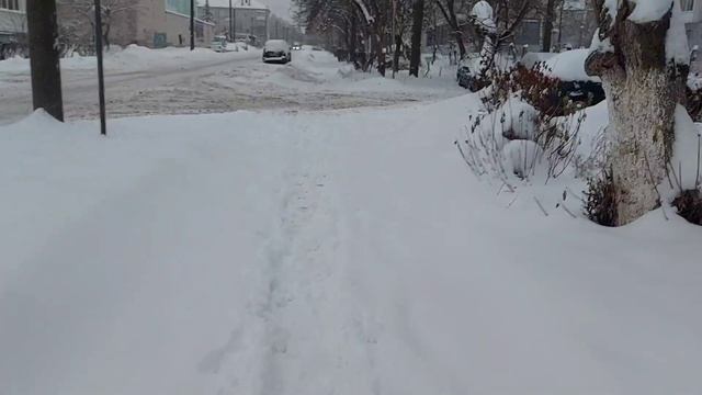 фабрика игрушек?/покупки/завалило снегом☃️❄️ смотреть онлайн