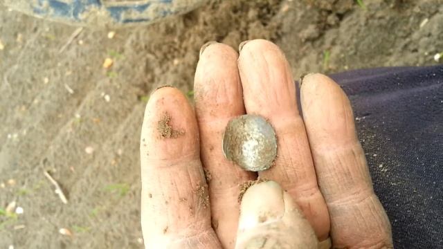 Tesoro tejon finding hammered silver coin смотреть онлайн