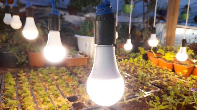 ПОДСВЕТКА РАСТЕНИЙ ЗИМОЙ эффективный способ проверенный временем. смотреть онлайн