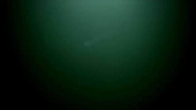 Александр Валявин ВМФ смотреть онлайн