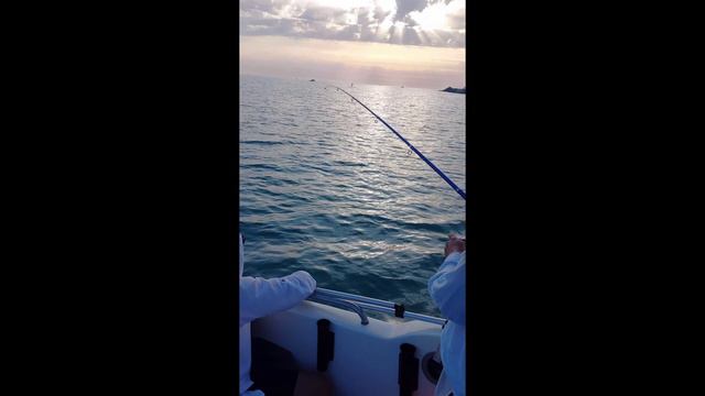 Рыбалка на закате смотреть онлайн