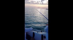 Рыбалка на закате