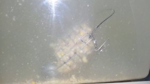 Прикормка Гейзер с вулканическим эффектом