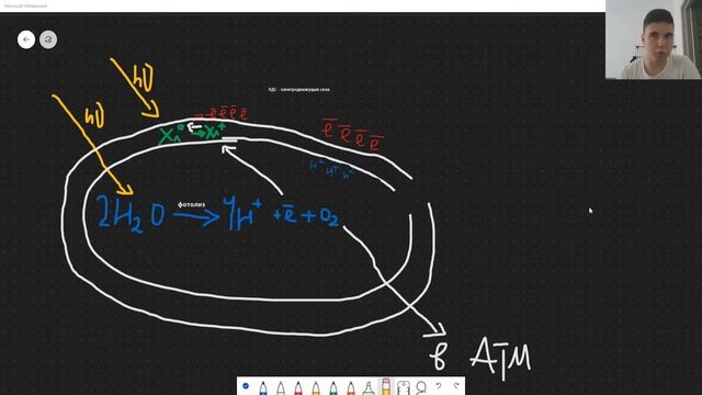 BioFamily | ФОТОСИНТЕЗ | ЕГЭ 2020