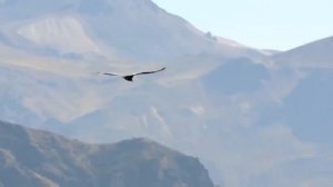 Мой Дагестан