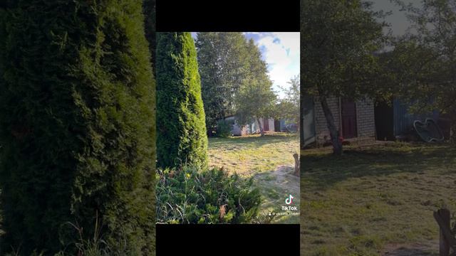 Дача. Вот и осень пришла. #беларусь смотреть онлайн