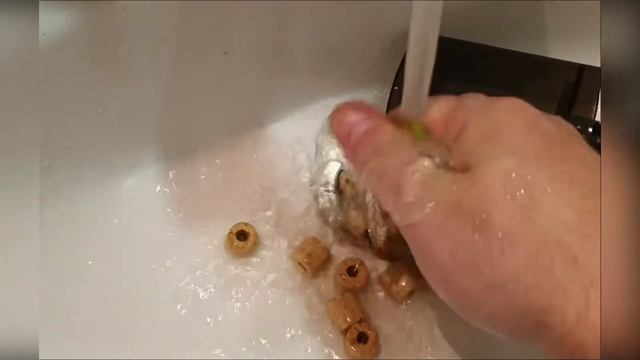 Кристальная вода в аквариуме с черепахой смотреть онлайн