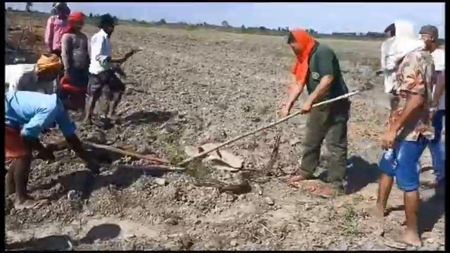 Biggest python enter in construction site смотреть онлайн