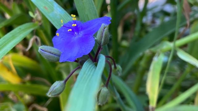 Стих: наши привычные дни смотреть онлайн