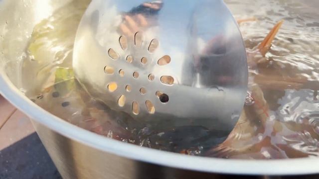 Вареные РАКИ в КАЗАНЕ на ОГНЕ | Как вкусно приготовить раков на природе | Идеальное блюдо смотреть онлайн