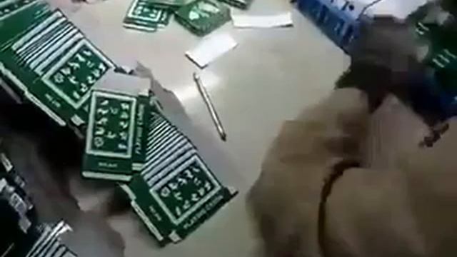 Значит усердие