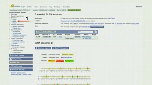 March 2016 Webinar: Variation Data in Gramene смотреть онлайн