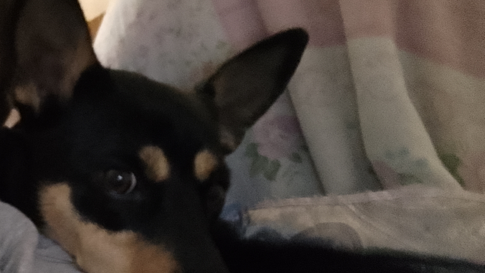 1000030114.mp4 смотреть онлайн