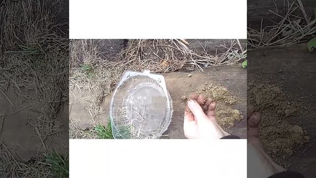 Целительная уборка