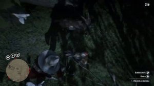 Яванский Петух RDR2