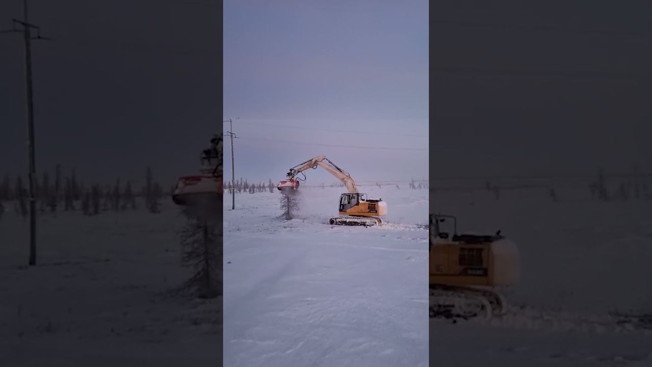Последняя ёлочка Нового года не будет! #спецтехника #экскаватор #демонтаж #мульчеры смотреть онлайн