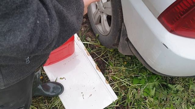 Советы по заправке автомобиля с канистры. Сроки хранения бензина в канистре. смотреть онлайн