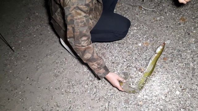 Рыбалка в Германии | Угорь горячего копчения смотреть онлайн