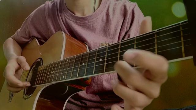 Alan Walker - Lily | Fingerstyle Guitar Cover смотреть онлайн