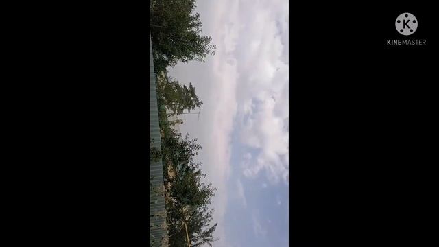 Нашествие солнечных матыльков! ??Урожаю капец?! смотреть онлайн