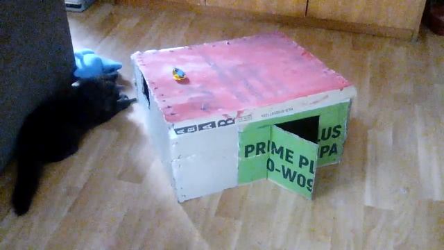Приколы . Построил чтобы коты там спали,не спят ,а играют смотреть онлайн