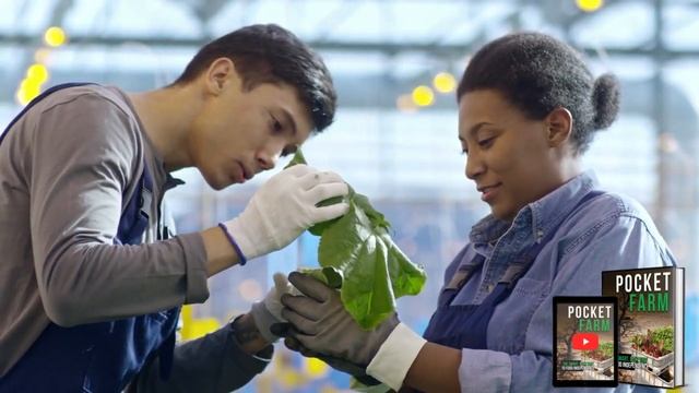 The Pocket Farm Review-ALL THE TRUTH EXPOSED -Pocket Farm Reviews-Pocket Farm 2023 смотреть онлайн