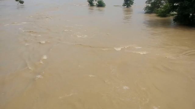 Hajipur khirma darbhanga смотреть онлайн