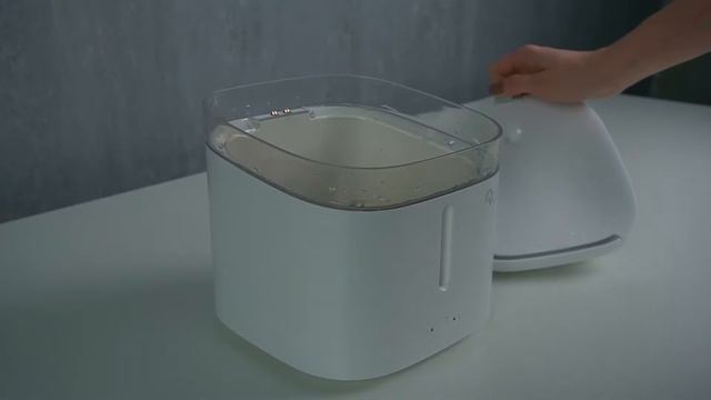 Обзор Автопоилки для животных Kitten&Puppy ?.? смотреть онлайн