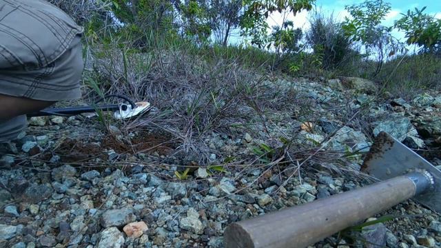 Minelab gold monster 1000. Prospecting gold. BOMBANA смотреть онлайн