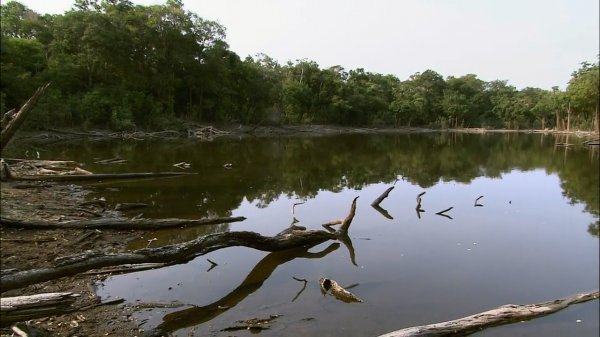 The Amazon River of the Sun