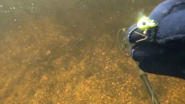 Water Emergency ? Long Pond Diving & Underwater Metal Detecting MDI Mount Desert Island #mondaydigs смотреть онлайн