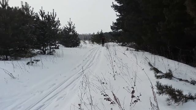 Прогулка на лыжах.Зимняя природа. смотреть онлайн