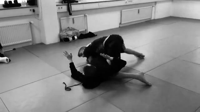 MMA – Mixed-Martial-Arts Seminar in München mit Youri Vansant смотреть онлайн