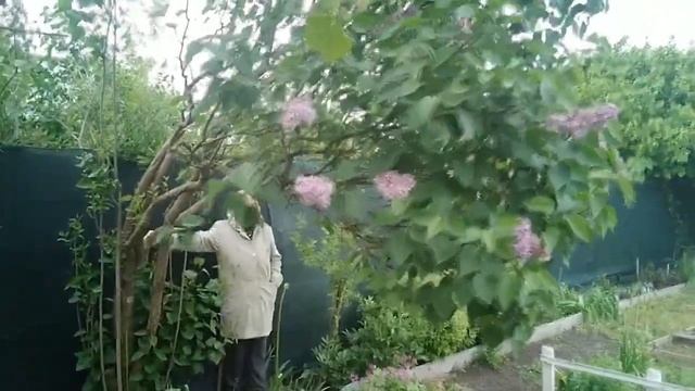 Что такое огород и как с ним бороться? смотреть онлайн