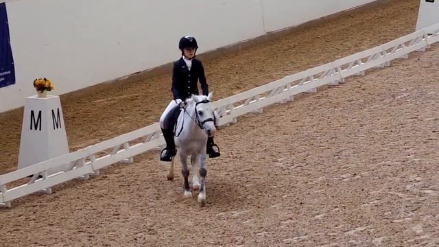 20 02 2015 езда 2 2 шаг рысь галоп смотреть онлайн