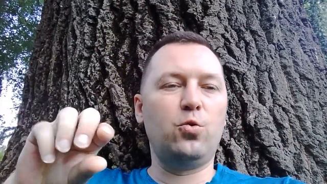 Тренинг под деревом или лучше быть никем, чем называть себя мерчендайзером смотреть онлайн