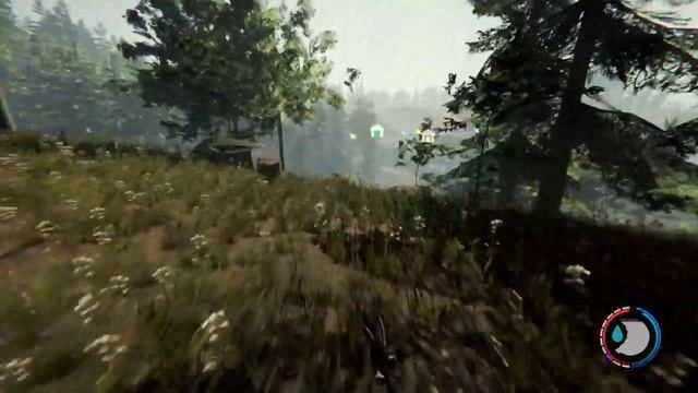 The Forest №7 смотреть онлайн