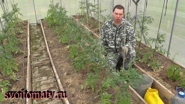 Что делать с томатами и перцами в холодную весну смотреть онлайн